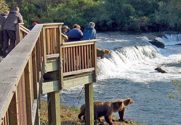 Brooks Falls, Katmai National Park, Alaska, Amerika