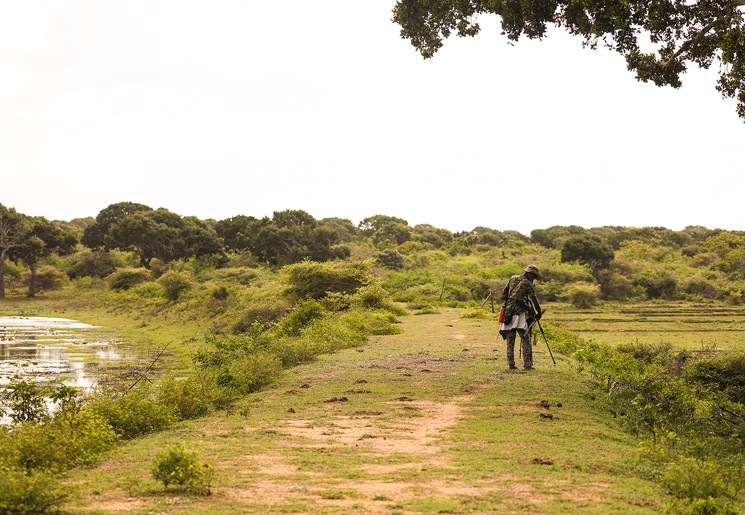 Op wandelsafari in Bundala National Park, Sri Lanka