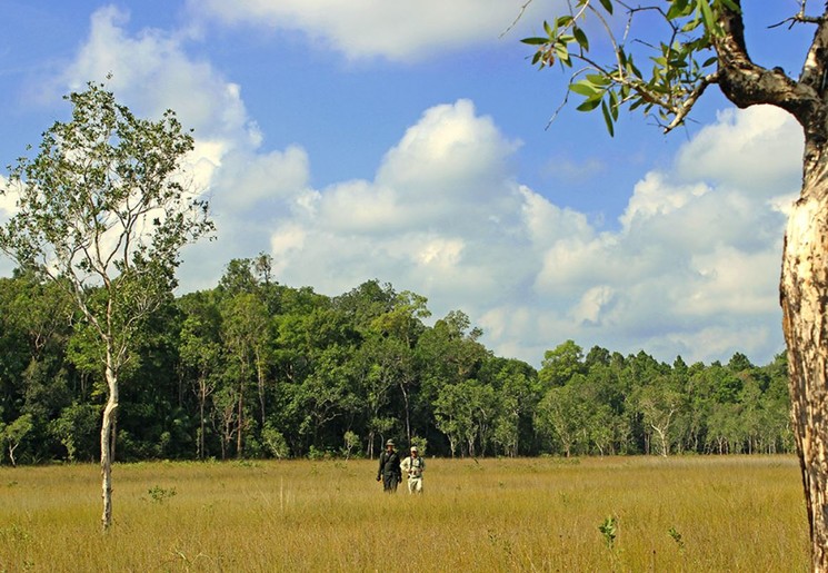 a69fed35-0270-4a21-8e86-e8b822d182b8