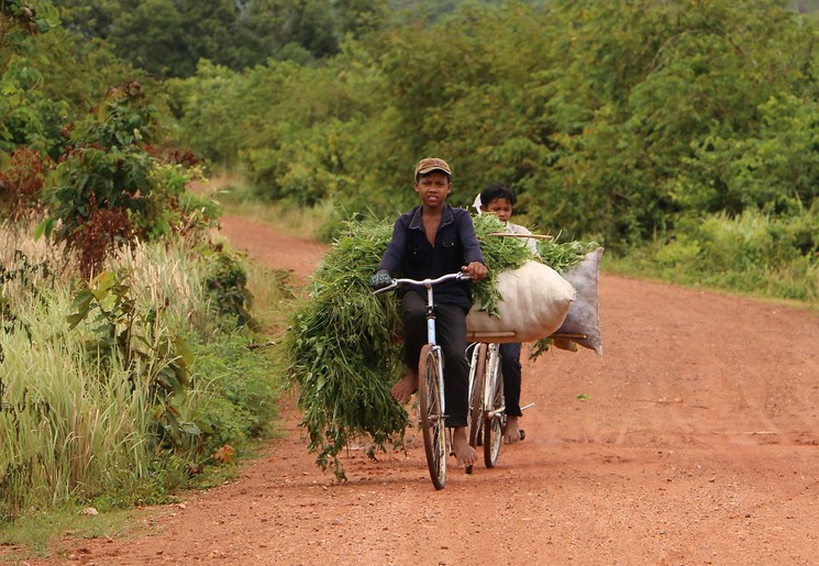 Op de fiets door het