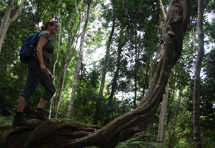 Wandelen door de heuvels met loofbossen bij Mondulkiri