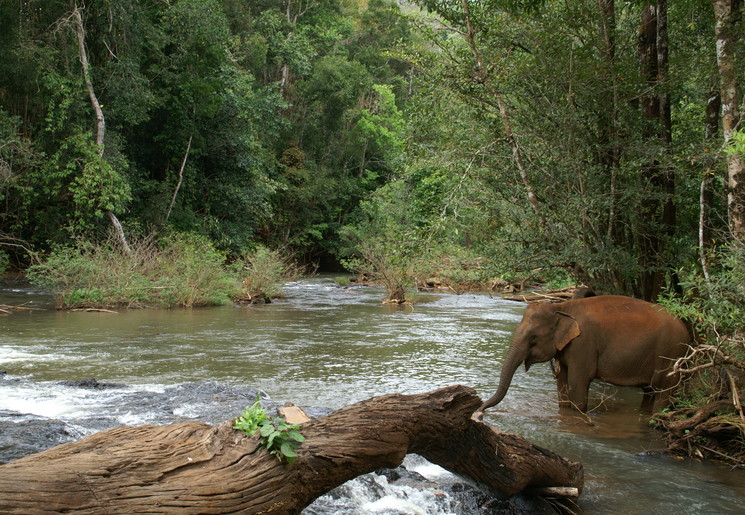 Keo Seima Wildlife Sanctuary