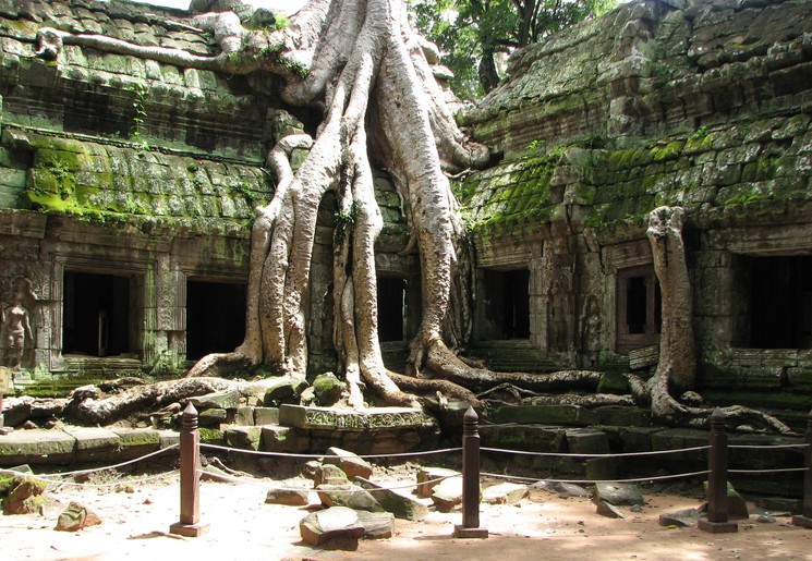 Cambodja-SiemReap-AngkorWat-boom(8)