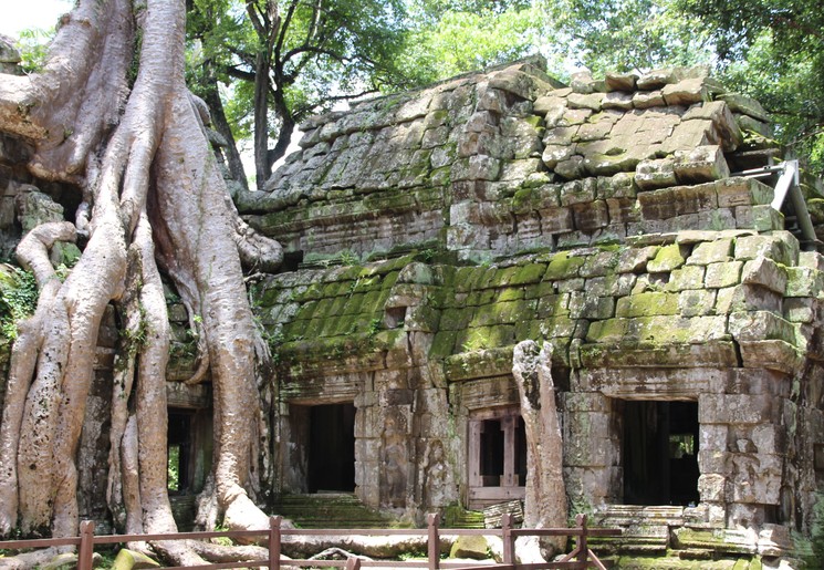 Cambodja-SiemReap-AngkorWat-boom1(17)
