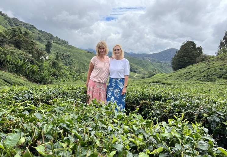 Tussen de theevelden in de Cameron Highlands, Maleisië