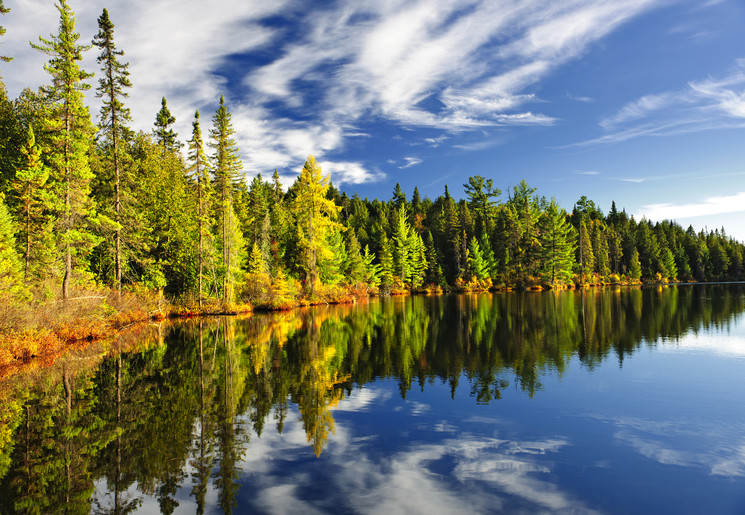 Canada-Algonquin-Park-Herfst