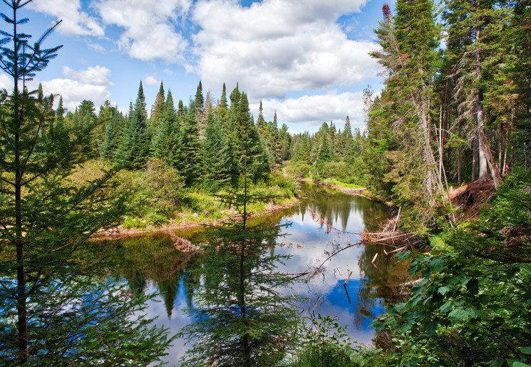 Canada-Algonquin-Provincial-Park-1_1_495272