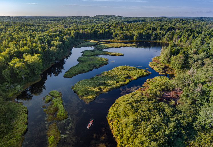 Canada-Charlottetown-natuur-bossen