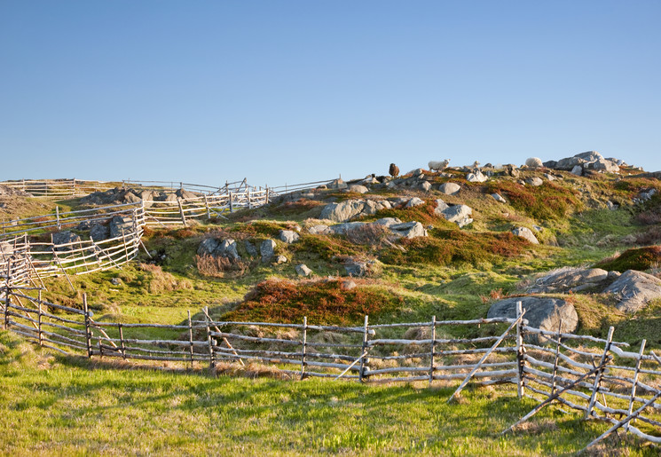 Canada-Fogo-Island-Heuvelachtig