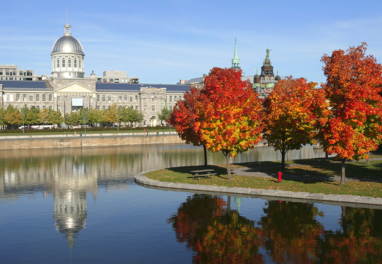 Ook in de stad zelf vind je in de herfst oranjerood gekleurde bomen, Montréal, Canada