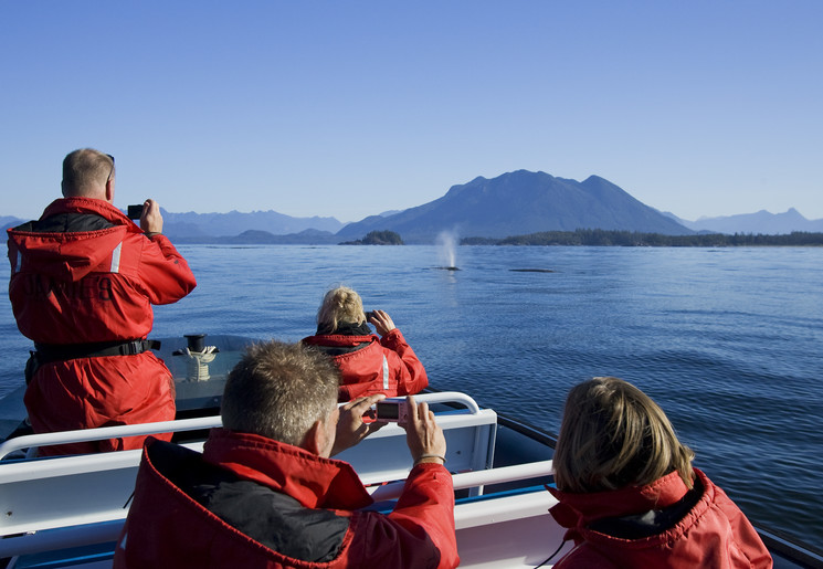 Canada-Tofino-Walvissen Canada-Tofino-Walvissen