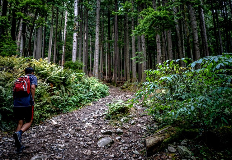 Canada-Vancouver-Grouse-Mountain-1 Canada-Vancouver-Grouse-Mountain-1