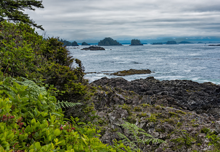 Canada-Vancouver-Island-Ucluelet-1_1_503625