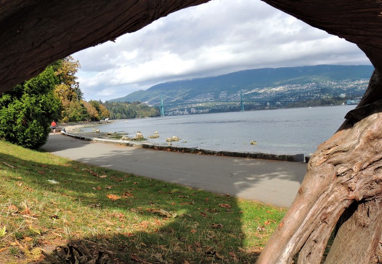 Canada-Vancouver-Stanley-Park-Boom Canada-Vancouver-Stanley-Park-Boom