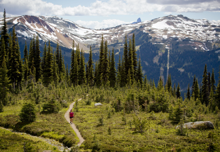 Canada-Whistler-Natuur