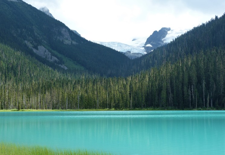 Canada-Whistler-gletsjer_1_544106