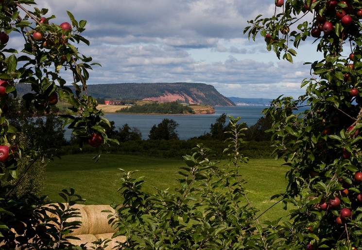 4311c06b-0608-4280-8725-b722da872c2c