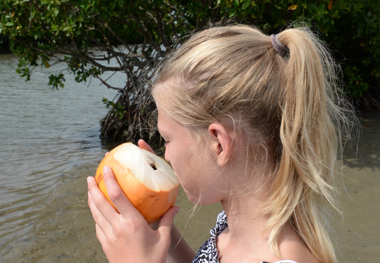 Kindje drinkt een verfrissende kokosnoot in Negombo, Sri Lanka