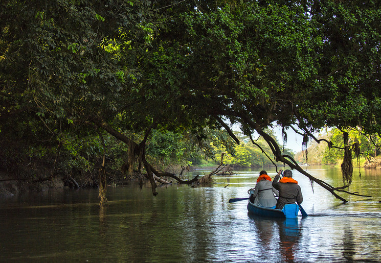 Kayakken door Caño Negro, Costa Rica