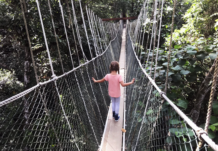 Dana op de canopy walk in Taman Negara Maleisie 2018.JPG