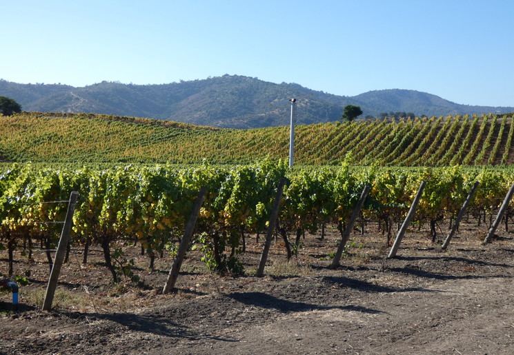 97081bec-f562-4b81-bcd4-9fe7345bd87b