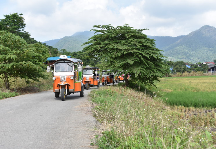 Tuktuks in Chiang Mai, Thailand