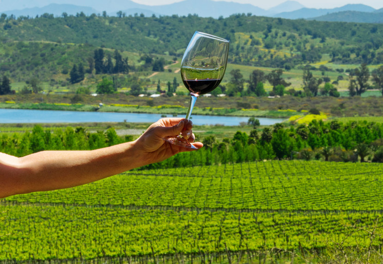 Chili-Casablanca-Valley-wijnglas-nabij-Santiago-de-Chile_1_398741