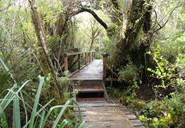 Chili-Chiloe-Nationaal-Park_1_432733