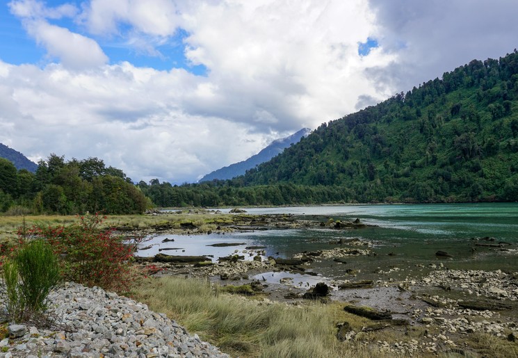 9ee84bad-782e-4b07-b8c4-0c5b943edb24