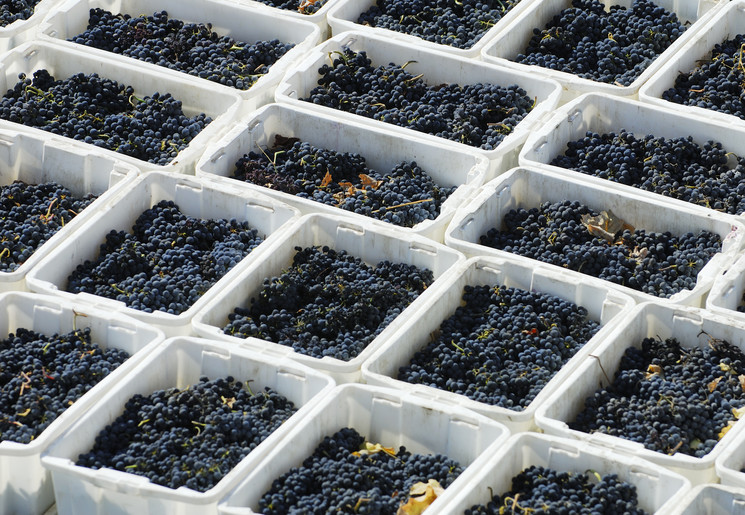 8bc6ac2c-f927-4433-ac5f-1d299538d4a5