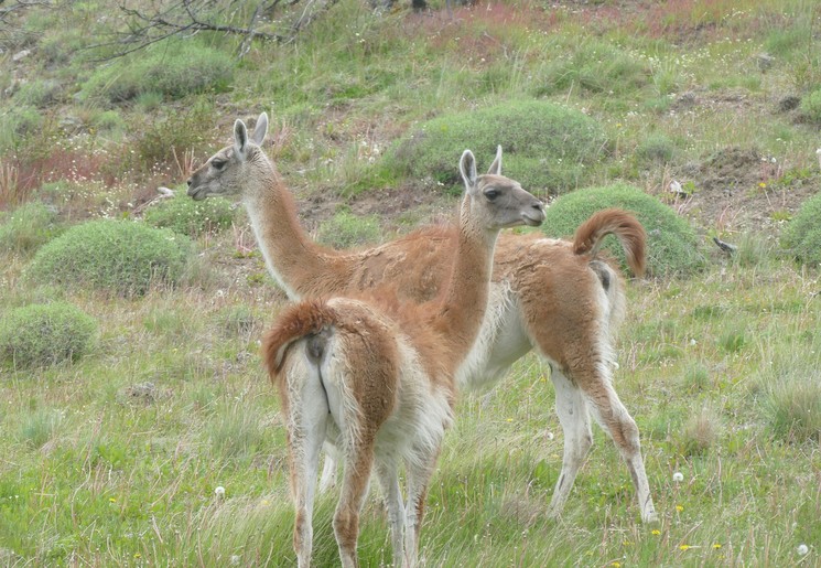 7b1af8d6-d0d9-49d5-a9dc-5096989c40e8