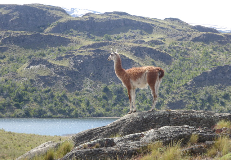 Chili-Parque-Patagonia