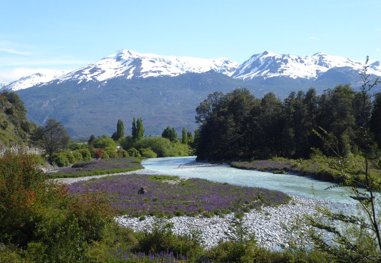 Chili-Parque-Patagonia1_1_430228