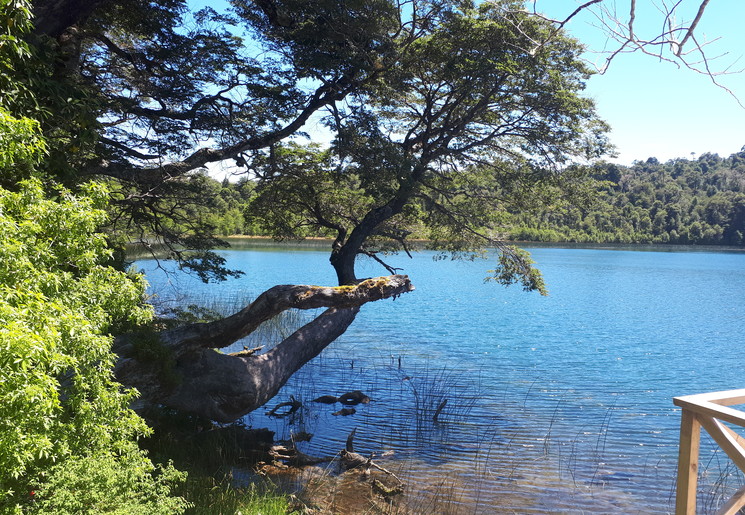 Puyehue National Park, Chili Puyehue National Park, Chili