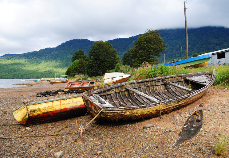 51db8636-bfdc-42b9-b182-58c22023c0c9