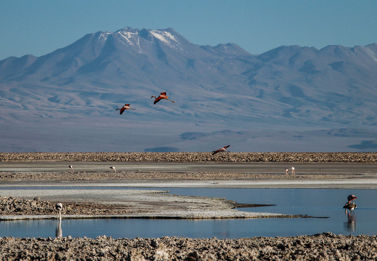 de9cf849-7dbc-4f7f-b8fd-f0e947fe3b70