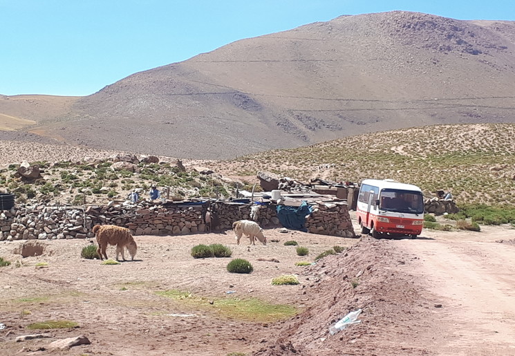 cf6efc2b-3cb3-4012-a8a4-952a820cba98