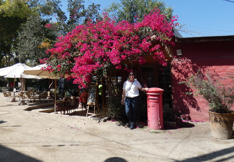 2b19159d-cb80-4ef7-b4c1-3daca74c981c