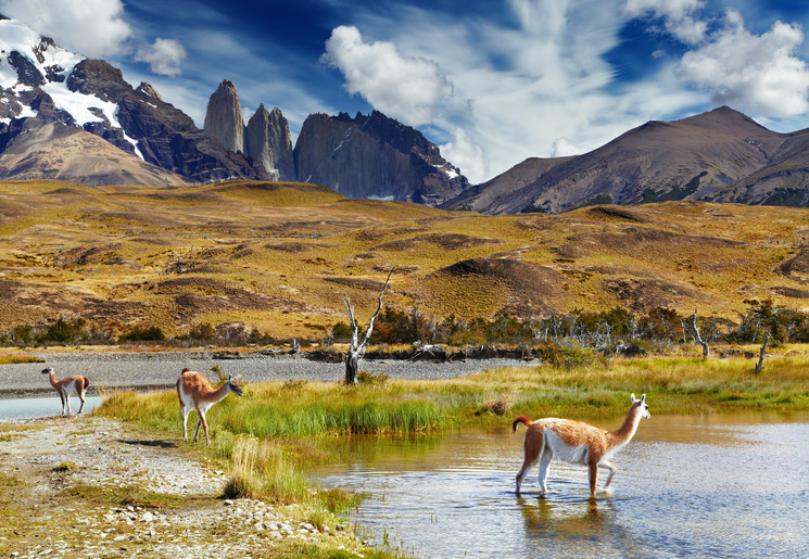 2b50de7f-05c3-4792-aae9-ba674d1972c3