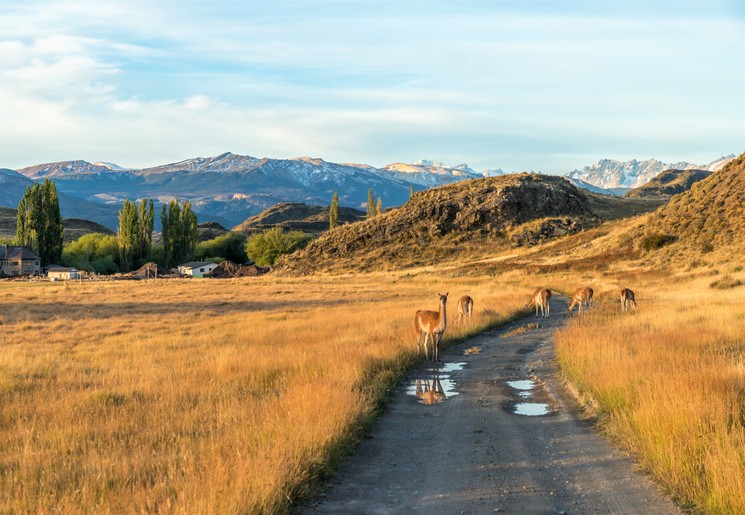 Touren in Chili over de Carretera Austral