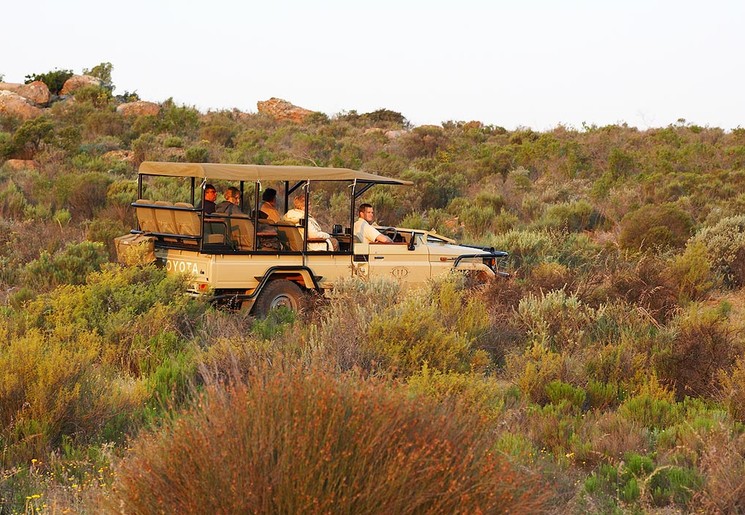 Op pad met de jeep bij Clanwilliam