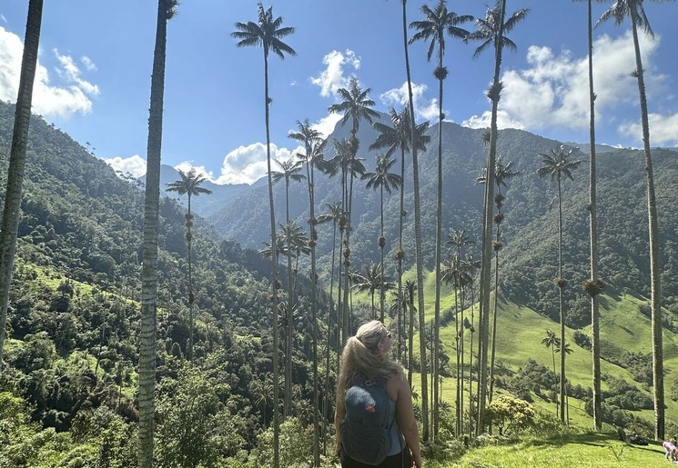 Cocoravallei, Colombia