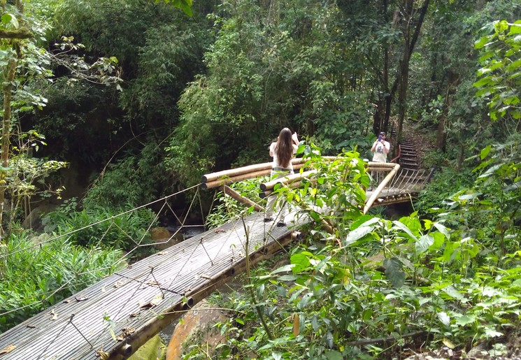 Koffiefarm in een groene omgeving nabij Bogota Koffiefarm in een groene omgeving nabij Bogota