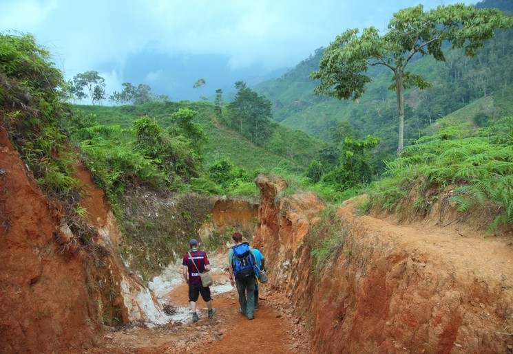 Colombia-Ciudad-Perdida-trekking2_1_484070