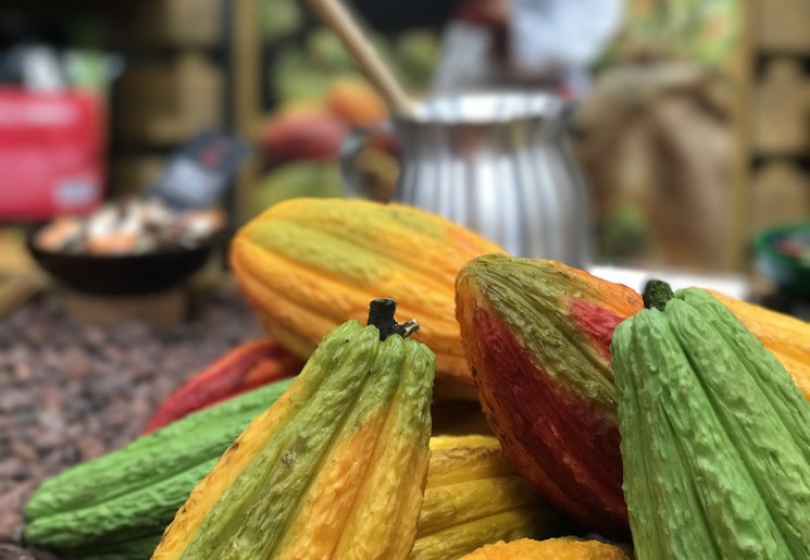 Colombia-Koffieregio-Cacao-2