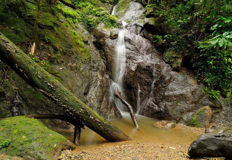 0cc220e7-c68b-4bab-bf1d-5ec029b8e9cf