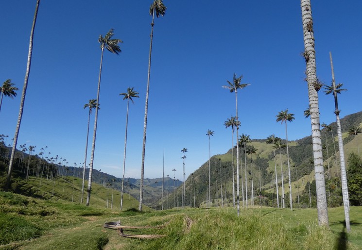 De mooiste natuur in Colombia