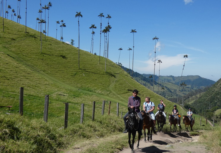 Colombia-Valle-de-Cocora-paardrijden1_1_484347