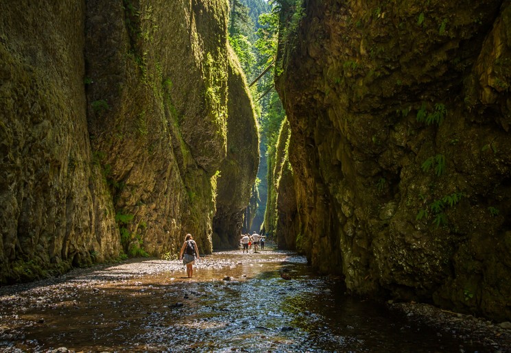 Hiken door de Columbia River Gorge, USA