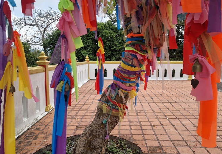 Kleurrijke boom bij de Coral Pagoda Kleurrijke boom bij de Coral Pagoda